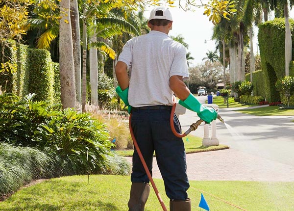 About Bapchule AZ Pest Control
